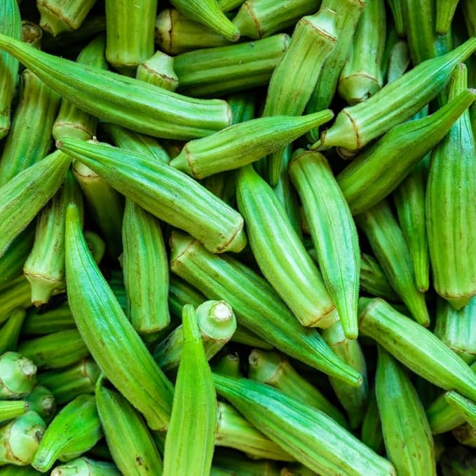 2 Green Okra Plants Live 4 Inc Potted Okra Live Plant Vegetable Plants Live 5 to 7 Inc Tall