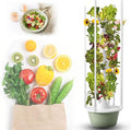 Hydroponic Growing System Hydroponic Planter Hydroponic Germination Kit Smart Hydroponic Growing System Indoor Hydroponic Garden Herb Grow Kit for Herbs Fruits and Vegetables5Layers/20Pots