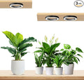 Wiaxulay 6.3” Ceiling Plant Grow Light 252 LED Full Spectrum Halo Grow Lights for Indoor Plants 12V/3A Under Cabinet Grow Lamp with 6/12/16 Hrs 3 Lighting Mode 5 Dimmable Levels Tri Head