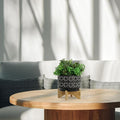 7 Swirl Planter ON Stand Black