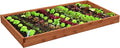 DutchCrafters Red Cedar Wood Raised Vegetable Garden Bed - Amish Made in USA (5.5 Raised Bed Cedar Stain)