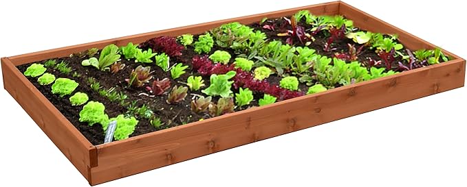 DutchCrafters Red Cedar Wood Raised Vegetable Garden Bed - Amish Made in USA (5.5 Raised Bed Cedar Stain)