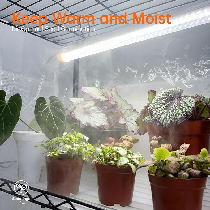 Bstrip Indoor Greenhouse with Grow Light Mini Green House with 4 Pack T8 Full Spectrum Plant Lights with Timer Indoor Greenhouse Cabinet for Indoor Plant Seed Starting Seed Tray 29.5x13.8x59