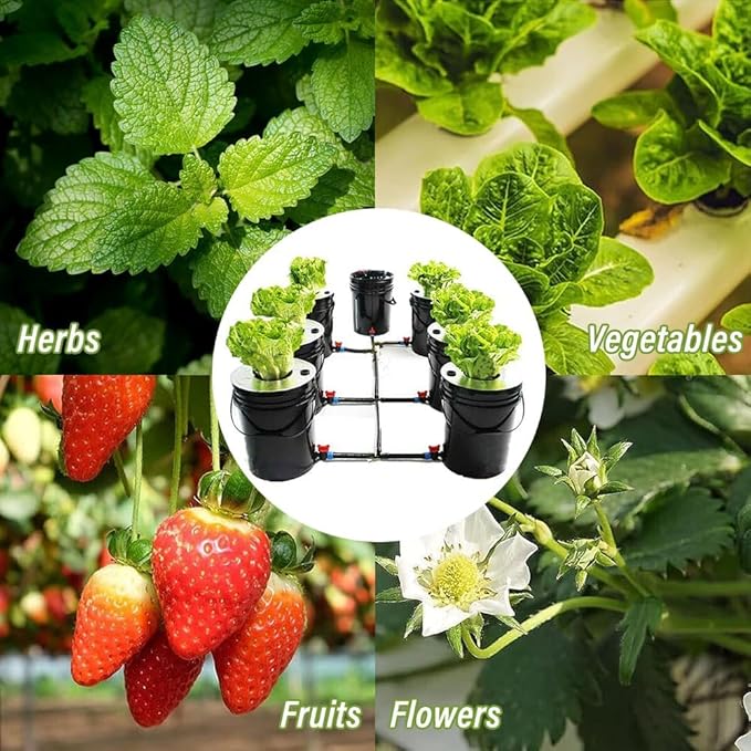 7 Bucket Hydroponic Growing System Kit - 5 Gallon with Pump Air Stone and Water Leveler for Indoor/Outdoor Leafy Vegetables - Complete Hydroponic Setup