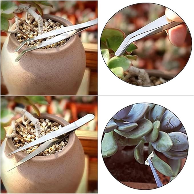 Mini Garden Planting Tool Set Bonsai Succulent Transplanting Miniature Fairy Gardening Hand Tools Flower Vegetable Potted