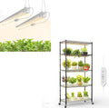 FREELICHT 5 Tier Plant Shelf with 4-Pack 2FT 30W LED Grow Lights with Timer+ 2 Pack 4FT 40W Grow Light with Timer Sunlike Full Spectrum Plant Light for Hydroponic Indoor Plant Seedling Veg