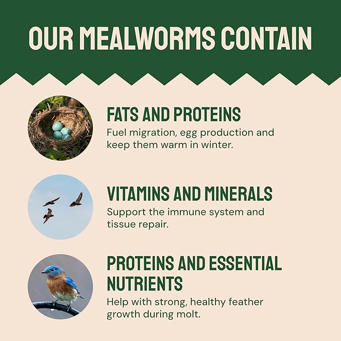 Hatortempt 2lb Dried Mealworms for Chickens - 50% Protein and 32% Essential Fats to Support Healthy Feather Growth During Molt - Organic Treats for Chickens Ducks Wild Birds &amp Reptiles