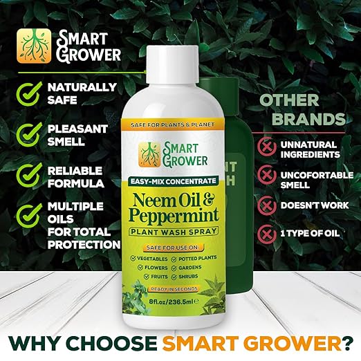 Neem Oil Spray for Plants with Peppermint Oil – for Indoor &amp Outdoor Plants Gardens &amp Houseplants– Best Value Refill 8 oz Concentrate Makes 1 Gallon RTU