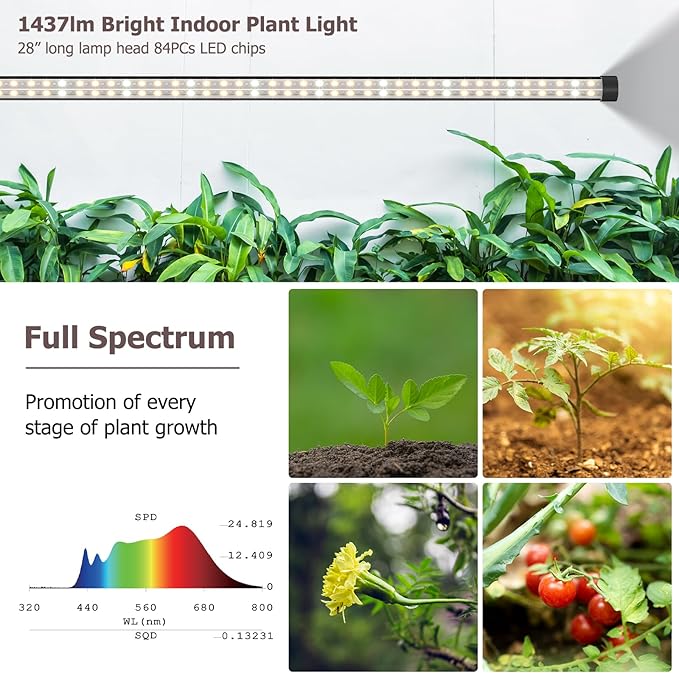 STERREN Plant Floor Lamp for Indoor Plants Full Spectrum LED Grow Light with 4/8/12H Timer Dimmable Black Plant Light with Stand Rotary Tall Grow Lights Head Adjustable 4000K