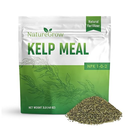 Kelp Meal 1-0-2 Natural Plant Food Boost Plant Health and Yield! (12lb)