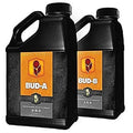 H16-BUD-SET-1 B Set Quart 1 Bud A Black
