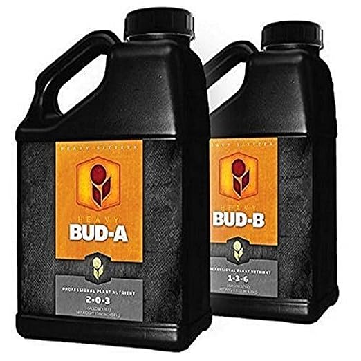 H16-BUD-SET-1 B Set Quart 1 Bud A Black