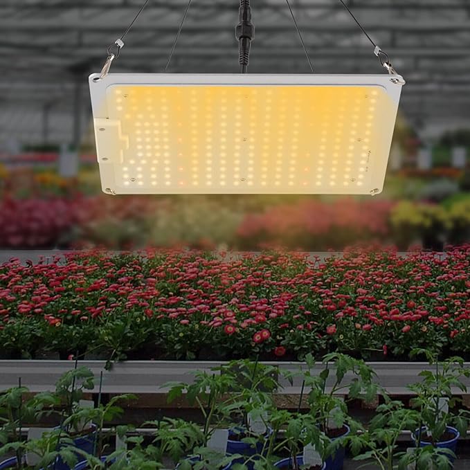 LED Grow Light 110W Plant Growing Lamp LM301B LED Lamp Sunlike Full Spectrum for Indoor Plants Horticulture Aluminum Plate Grow Adjustable Rope Hanger 2x2/3x3ft Grow Tent
