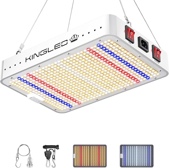 KingLED Grow Lights KP1500 Full Spectrum Grow Lamp for Indoor Plant Veg Bloom Dual Mode 2x4 Coverage Plant Light for Seedlings Blossom Fruiting Idea for Home Growing Tent Hydroponic Greenhouse