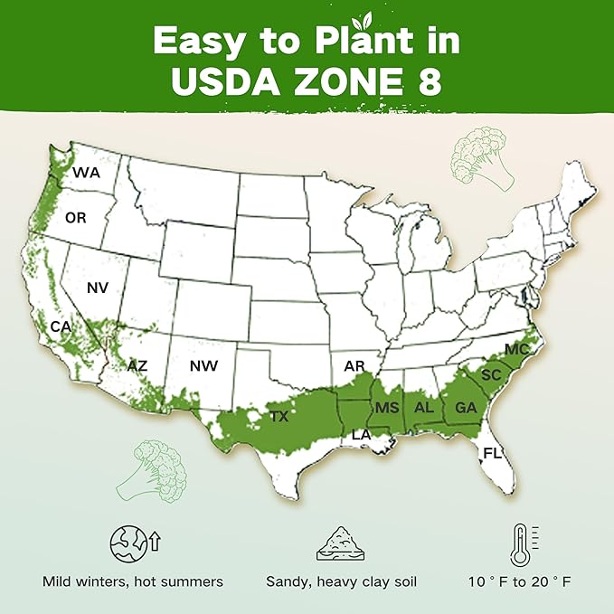 USDA Zone 8 Heirloom Seed Bank 30000+ Non-GMO 32 Varieties of Seeds for Planting Vegetables Herbs Survival Seed Kit for Raised Garden Bed Greenhouse Gardening Gifts for Mom Women Men