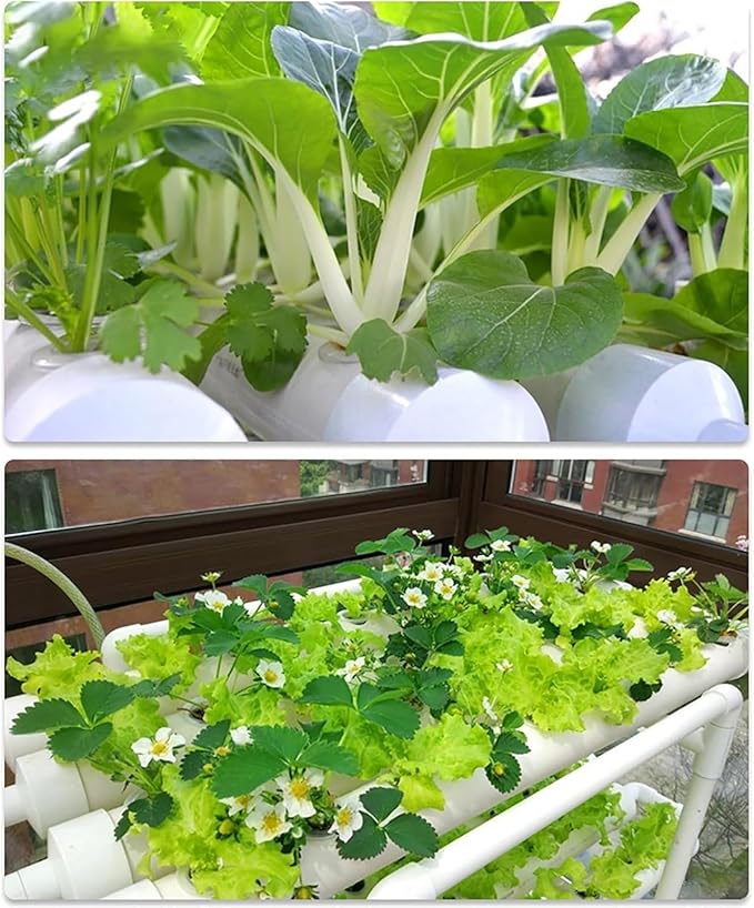 Hydroponics Growing Systems Kit Vegetables hydroponic Grow kitPlant Germination Kits(Single Row)