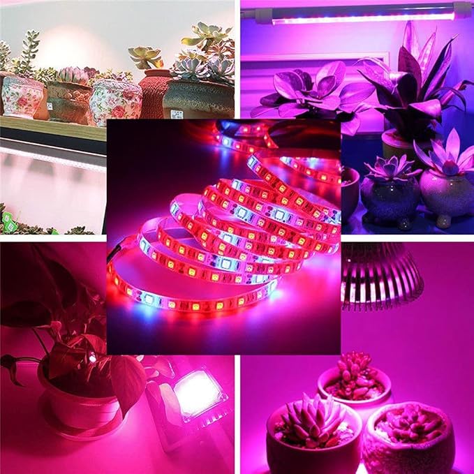 DC 12V 5050 LED Growth Lights Plant Growing LED Strip Light Tape Set with Power and Switch for Aquarium Hydroponic Plant (RED:Blue=5:1 5M Set No Waterproof)