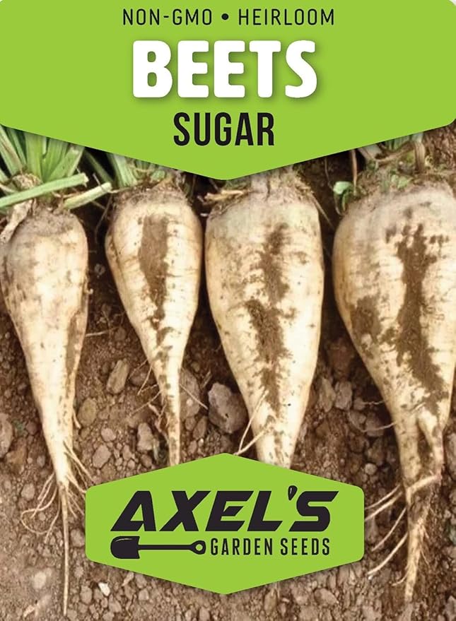 Beet Seeds for Planting - Plant &amp Grow Heirloom Beet Varieties Home Outdoor Vegetable Garden – Easy Grow Planting Packets Beta vulgaris – 5 Packets of Each Variety