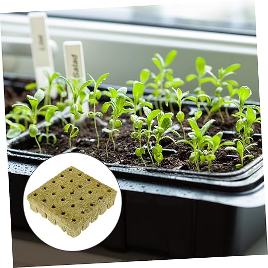 BESPORTBLE 75pcs Soilless Starter Plugs Plant Rooting Blocks Nutrients for Vegetable Flower Gardens