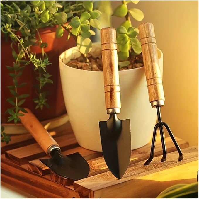 Garden Tool Set Mini Gardening Kit with Rake Trowel and Shovel for Succulent Plants and Soil Cultivation