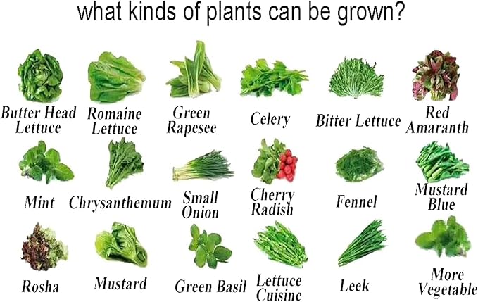 Hydroponics Growing System Hydroponics Growing System Smart Planter Frame with Full Spectrum Led Lights Automatic Timer Intelligent Garden Tools Indoor Hydroponic Tower