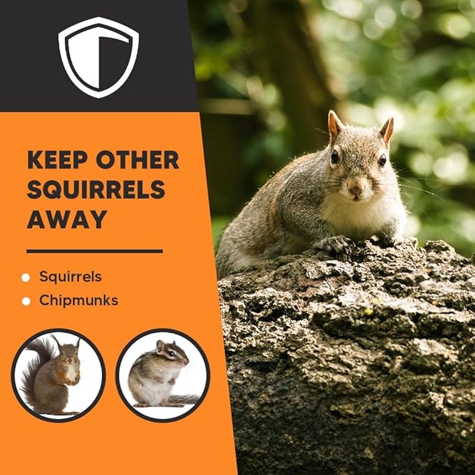 Squirrel Repellent Outdoor Squirrel Deterrent for Garden Chipmunk Repellent Outdoor Squirrel Away Squirrel Repellent for Attic/Trees/YardNatural Ingredients 8Packs