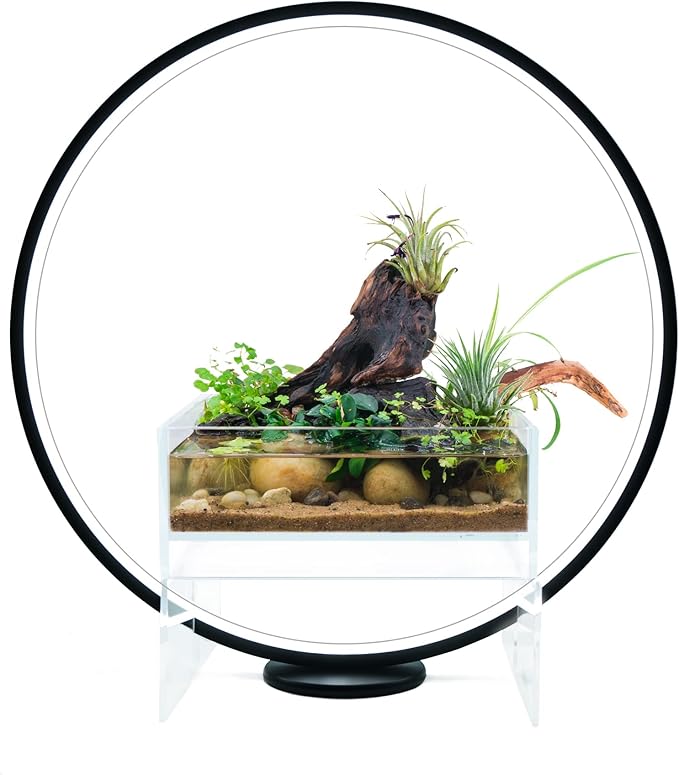 Circle Full Spectrum Plant Grow Light w/Display Stand for Terrarium Nano Fish Aquarium Bonsai Potted Plants. Gift for Mother's Day Gift for Plant Lover (11.8 in/30cm Diameter)