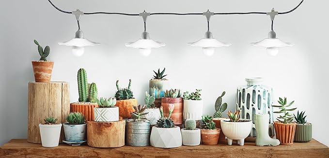 Miracle LED 4-Socket Designer Greenhouse in a Box Full Spectrum Ultra Grow Light Kit with White Shades and Timer.