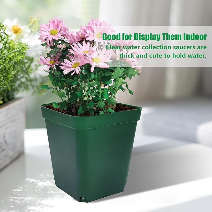 Square Seedling Nursery Pots 3.15 Inches 100 Pcs for Small Succulents or Cacti Flower Plastic Pots Sturdy Reusable (Green 3.14Inches100Pcs)