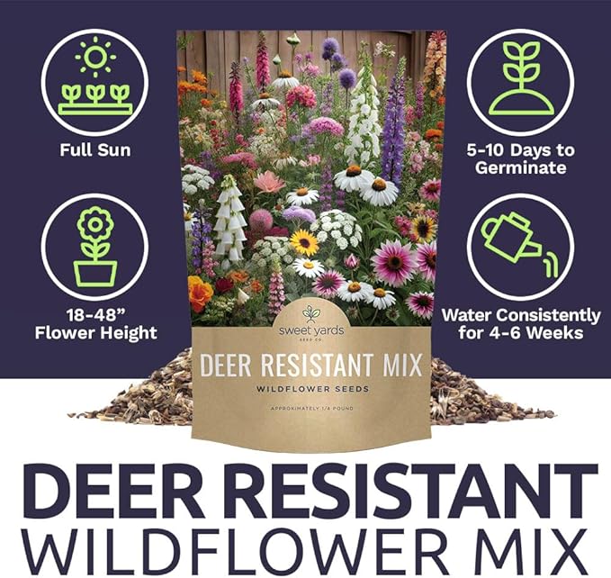 Deer Resistant Wildflower Seed Mixture - Bulk 1/4 Pound Bag - Over 60000 Deer Tolerant Seeds - Open Pollinated and Non GMO