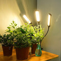 Grow Lights for Indoor Plants LEDs Grow Light for Seed Starting with Full Spectrum (sunlike Color)
