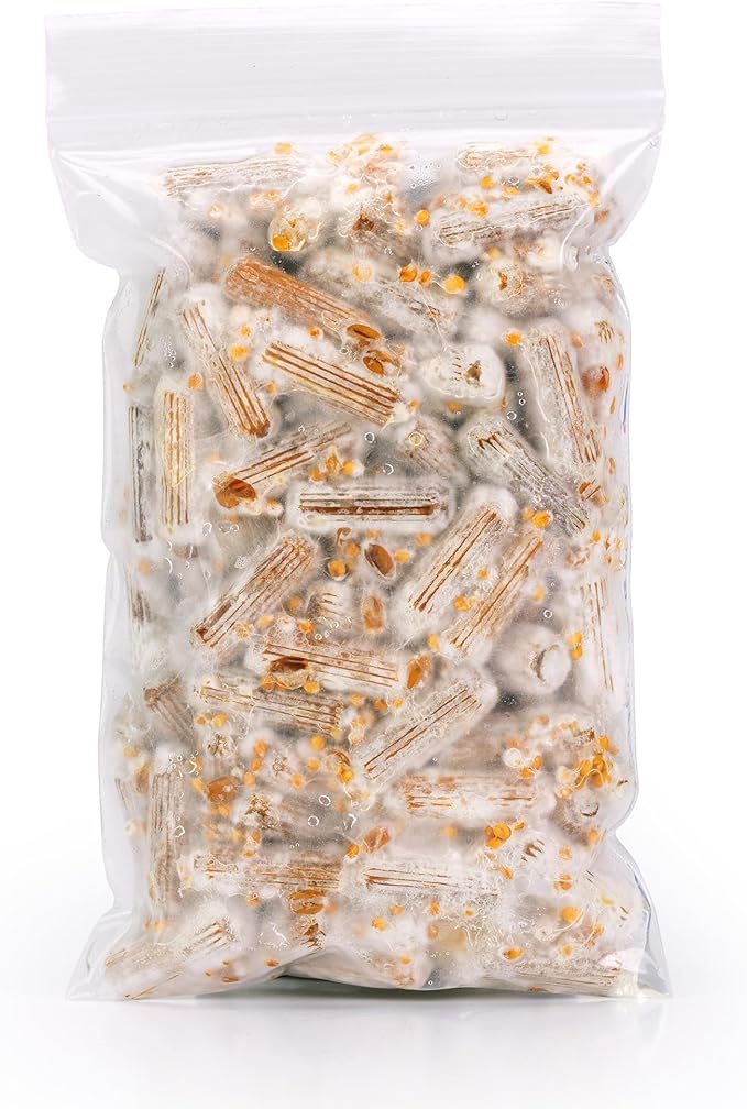 North Spore Organic Italian Oyster (100 ct) Mushroom Plugs for Logs | Premium Quality Mushroom Plug Spawn | Handmade in Maine USA | Grow Gourmet Mushrooms Outdoors on Logs