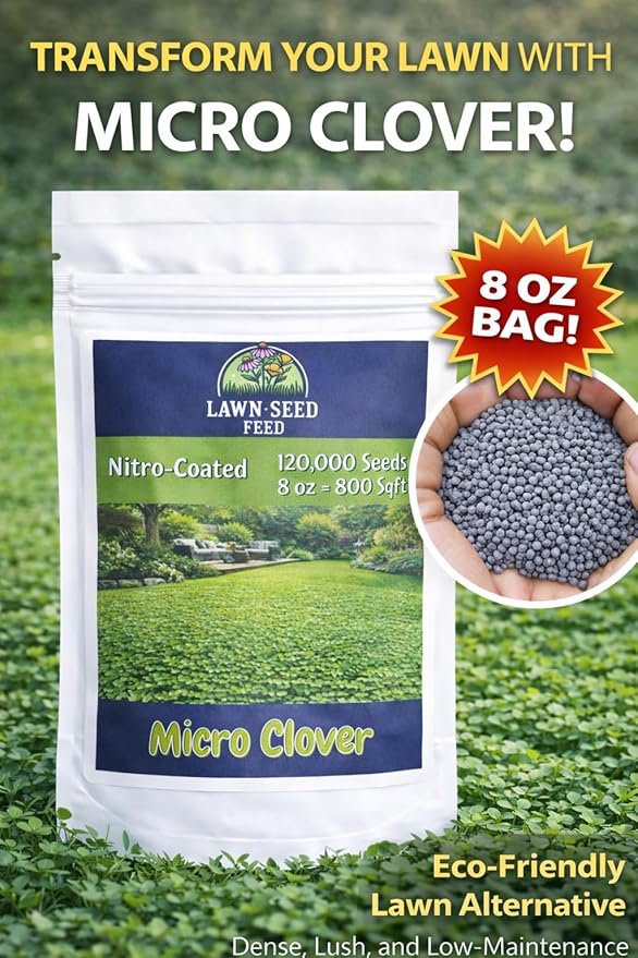 Micro Clover - (1LB) Nitro-Coated 240000 Total Seed - Covers Up to 1600 Sqft! Transform Your Lawn with Seeds That are Eco-Friendly Low Maintenance and Drought-Tolerant.
