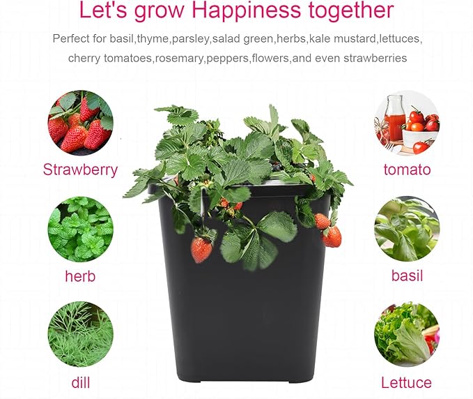 4 Hydroponic Buckets Kit for Plants Hydroponics Growing System for Herbs/Tomato/Vegetables DWC System with Air Pump &amp Germination Tray Black (Complete Indoor Hydroponic Gardening Supplies)