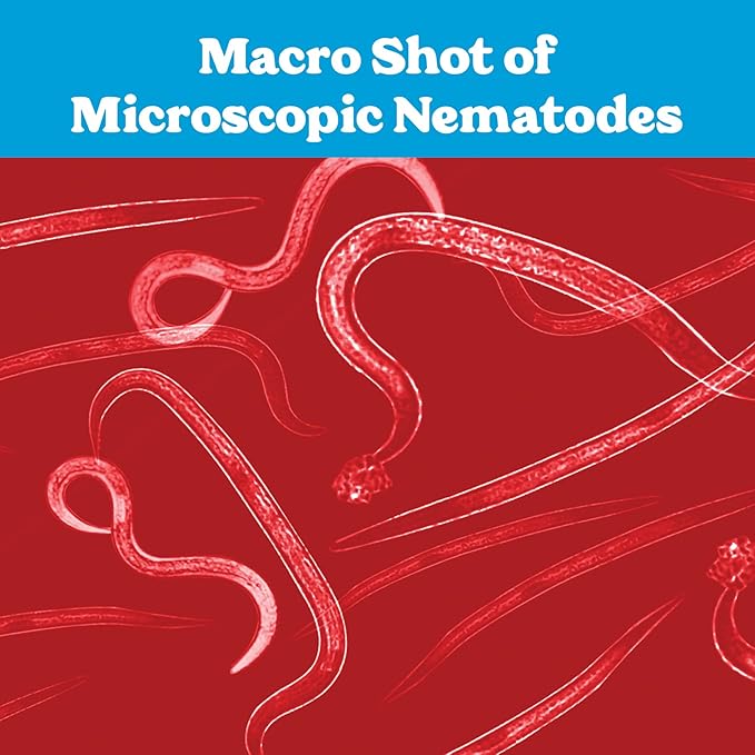 Live Beneficial Nematodes - 15 Million Hb+Sc+Sf - Kills Over 200 Different Species of Soil Dwelling and Wood Boring Insects.