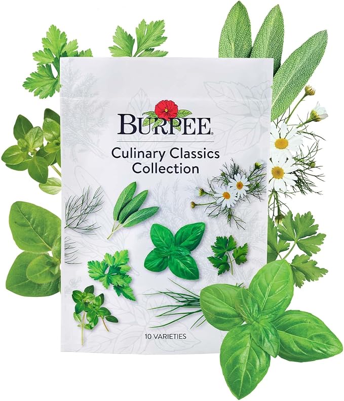 Burpee Culinary Classics Garden Collection 10 Packets of Non-GMO Chives Cilantro Basil Sage Thyme Dill Parsley Chamomile Marjoram &amp Oregano | Kitchen Herb Variety Pack Seeds for Planting