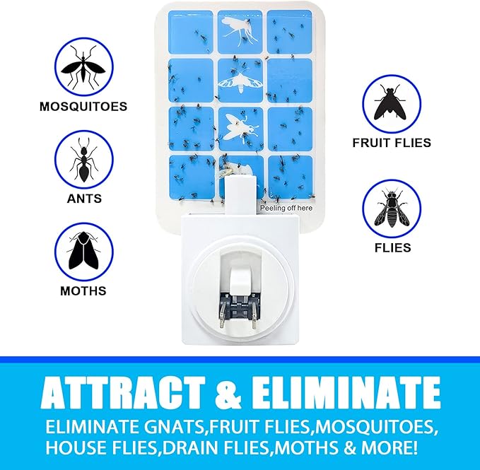Blue Light Bug Catcher Indoor Plug in Gnat Traps for House Indoor Fly Trap for Fruit Fly Moth and Mosquito Flying Insect Catcher 4 Device+8 Refills