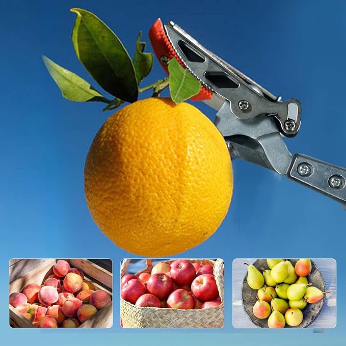 GARTOL Pruner for Garden Cut Upto 1 Inch &amp Hold Telescopic Pole Pruner Fruit Picker with Rotating Blade Head Lightweight Aluminum Extendable Handle for Tree Branch Cutter 6.23-10.5 FT Silver
