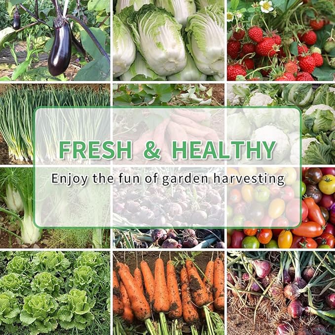 DIY Galvanized Raised Garden Beds 6 Pack Easy DIY Metal Planter Boxes for Grow Fruit and Root Vegetables Flower