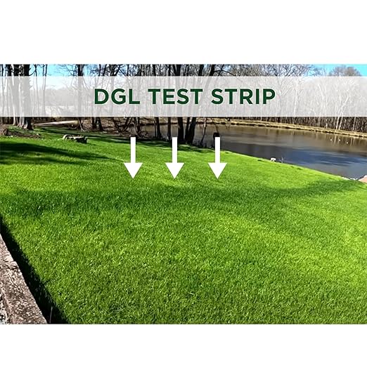 The Andersons Professional DGL Dark Green Lawn™ 25-0-0 Fertilizer - Covers 5000 sqft. (18lb. Bag)
