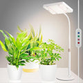 Tabletop Grow Light Bright Desk Grow Lights for Seed Starting Bonsai Succulent Cactus 4/8/12/16/20H Timer 25 Watt Power Draw NO Need Adapter 16-24 Height Daisy Chain Function