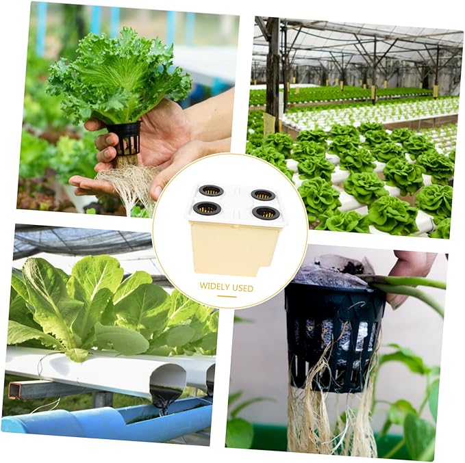 VICASKY 4holes Hydroponic Baskets Greenhouse Hydroponics System for Indoor Vegetable Fruit Planting