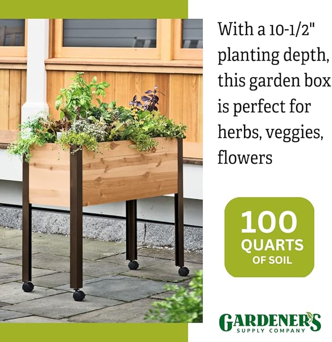 Gardener's Supply Company Raised Garden Bed Elevated Cedar Planter Box with Wheels | 39-1/2 L x 16-1/2 W x 32 H Rolling Planter for Outdoor Vegetables and Flower Gardening
