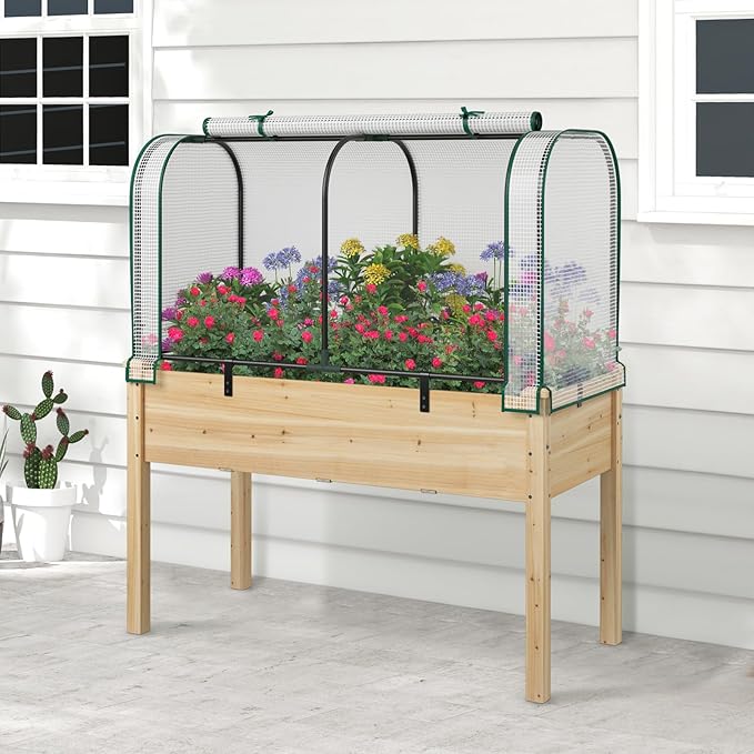 Raised Garden Bed with Greenhouse Waterproof Sun-Protective Green House with Roll-Up Door &amp Electroplated Metal Frame Pine Wood Elevated Planter Box with Drainage Holes(White+Natural)