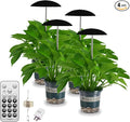 LED Grow Lights for Indoor Plants 4 Pack Smart USB Small Full Spectrum Plant Lights with Remote Height Adjustable Auto On/Off Timer Ideal for Home Decoration Black