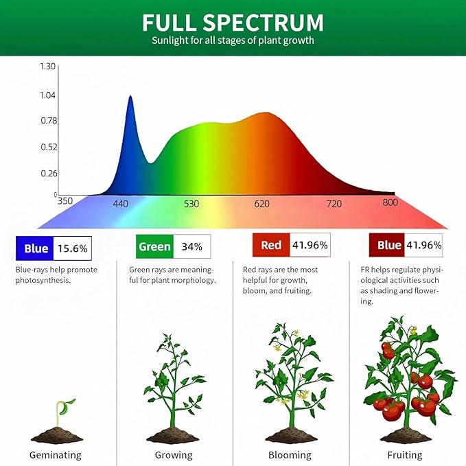 Table Top Grow Light for Indoor Plants – Decorative Desk Plant Light for Succulents Bonsai Cactus Adjustable Desktop Grow Lights with Base Cute Office Mini Grow Lamp