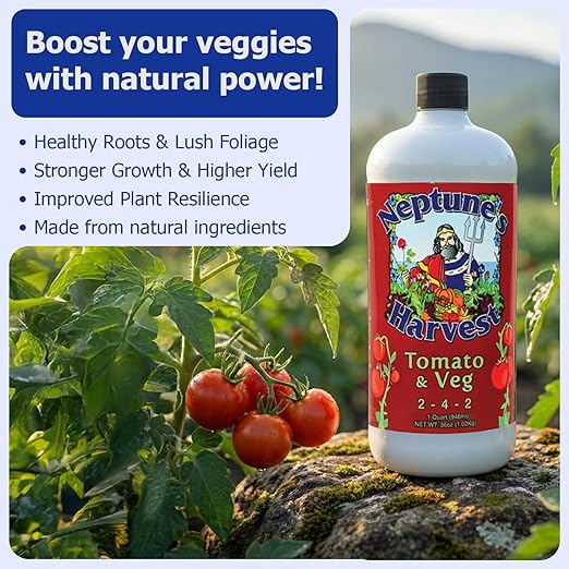 Neptune’s Harvest Organic Tomato &amp Vegetable Plant Fertilizer (2-4-2) - Liquid Plant Food w/Fresh Fish Seaweed Molasses Yucca Extract &amp Humic Acids - for Vegetable Garden (Quart (2 Pack))