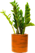7.8 in. Painted Plastic Self Watering Planter Pot