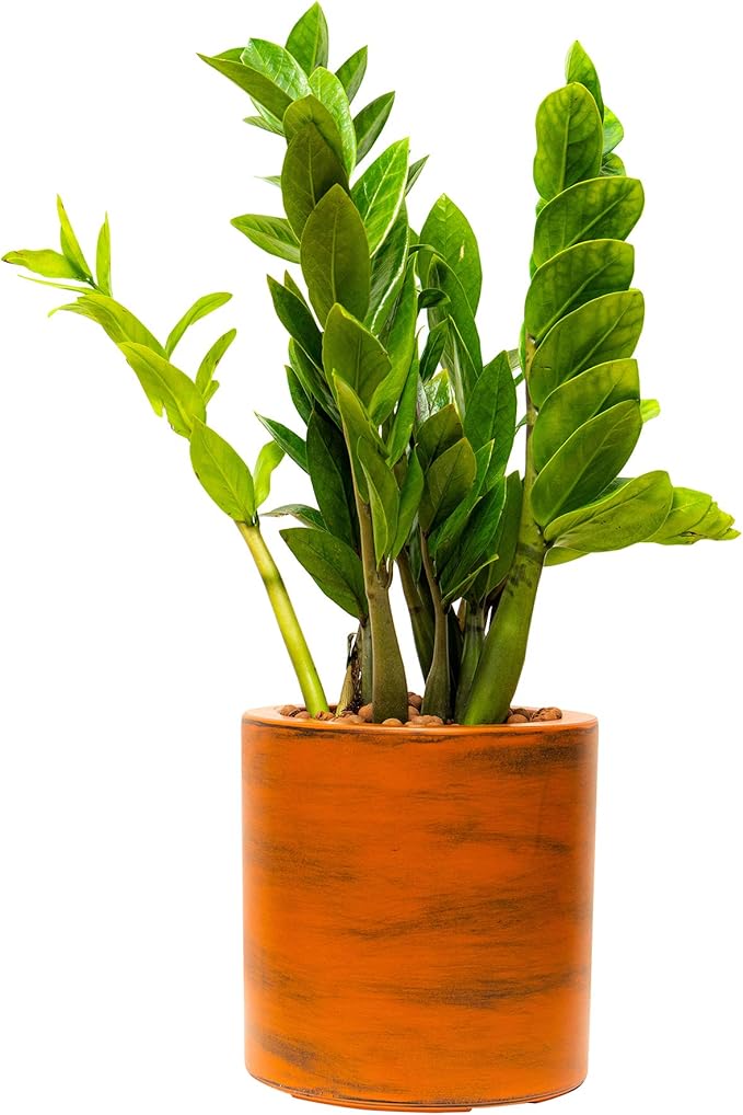 7.8 in. Painted Plastic Self Watering Planter Pot