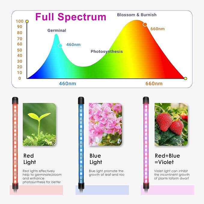 2 Heads Red Blue Grow Lights for Indoor Plants Clip On LED Plant Light Plant Growing Lamp with 3/9/12H Timer 3 Light Modes Adjustable Gooseneck(Clip-3Head)